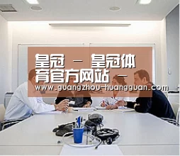 研发能力标题二